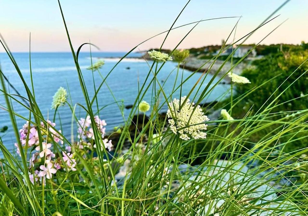 Wildflower Inn Plymouth Exteriér fotografie