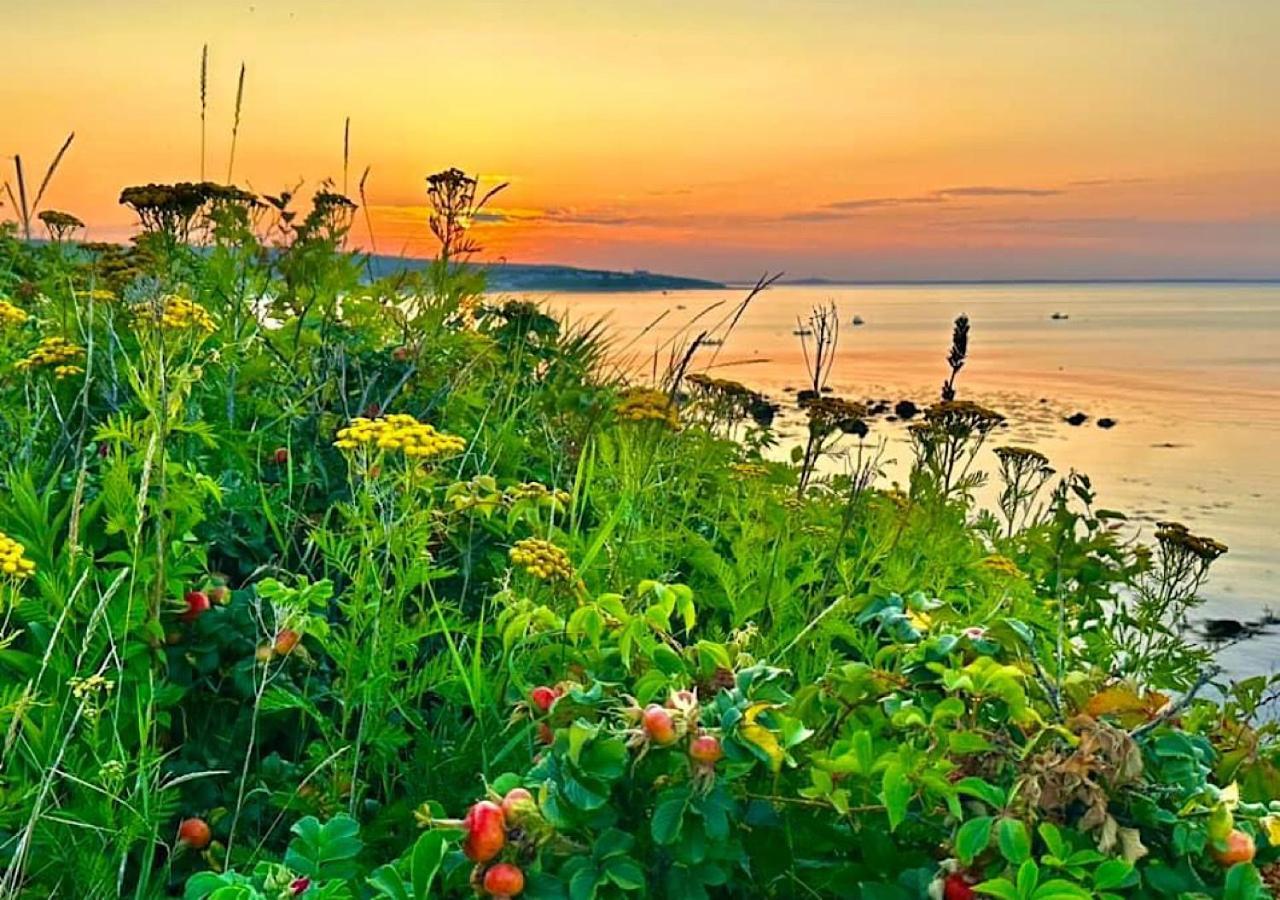 Wildflower Inn Plymouth Exteriér fotografie